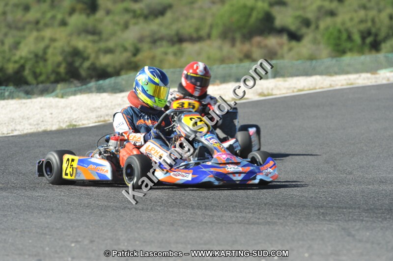 DSC (2675).JPG